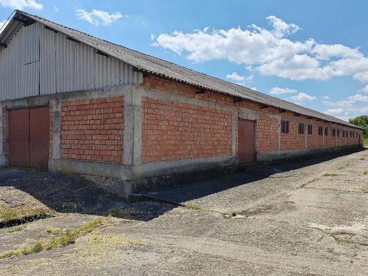 Spațiu comercial, de 3,000 mp, în Bunești (Mălureni)