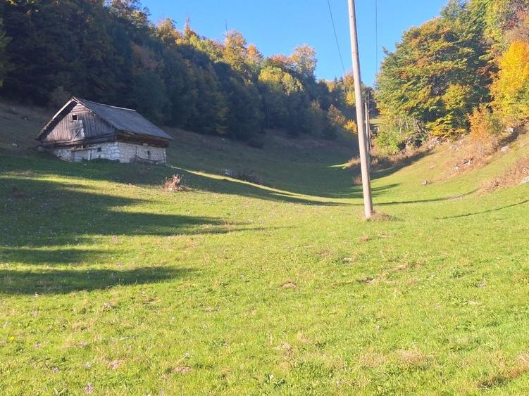 Teren de 16000 mp, în Ciocanu