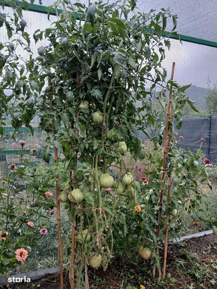 Casă cu 5 camere cu Teren 1500 Mp în Drajna