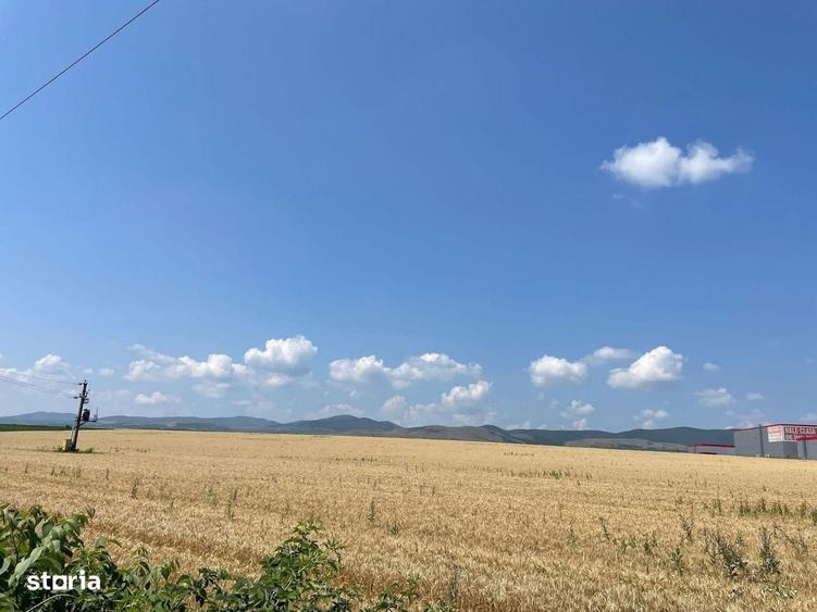 Spațiu comercial, în Tunari