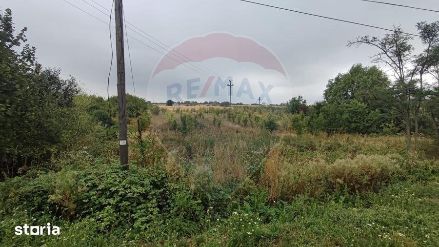 Teren de 2341 mp, în Paleu