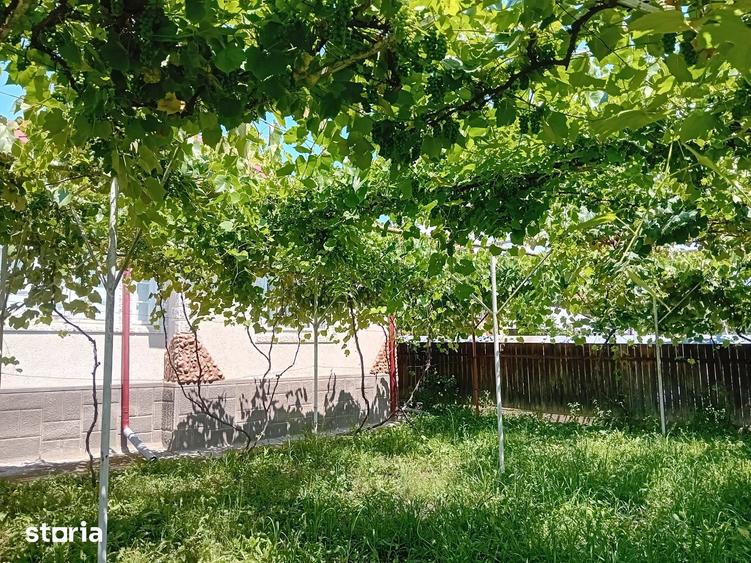 Casă cu 5 camere cu Teren 200 Mp în Curița