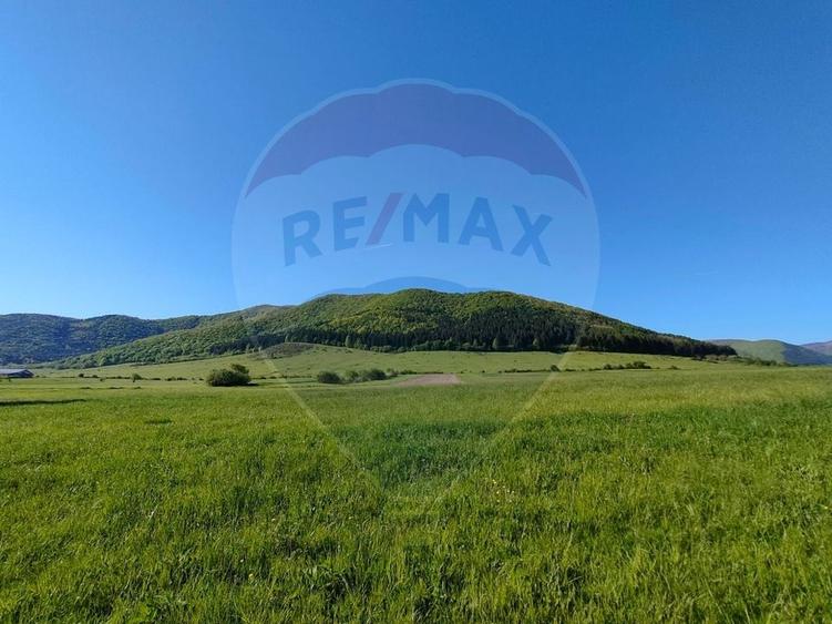 Teren agricol extravilan de 1668 mp, în Gura Râului