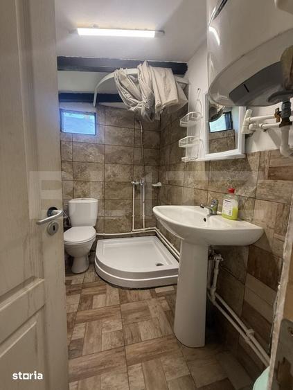 Proprietate de poveste cu piscina, ciubar si casuta in copac - 10