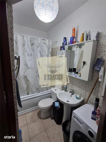 Apartament cu 2 camere decomandat în Turnișor