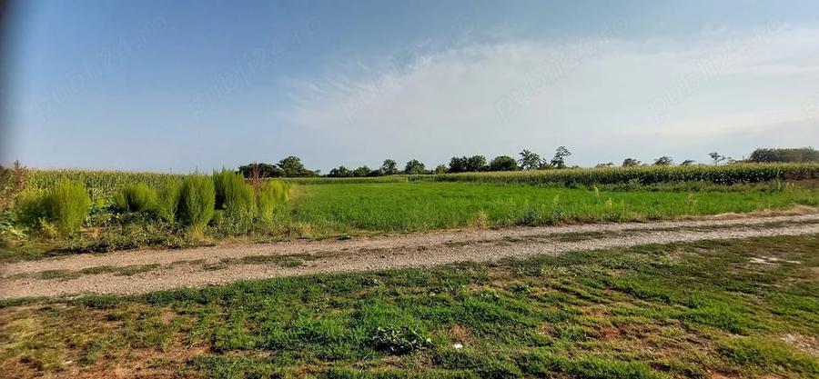 Teren de 4200 mp, în Dumbrăvița