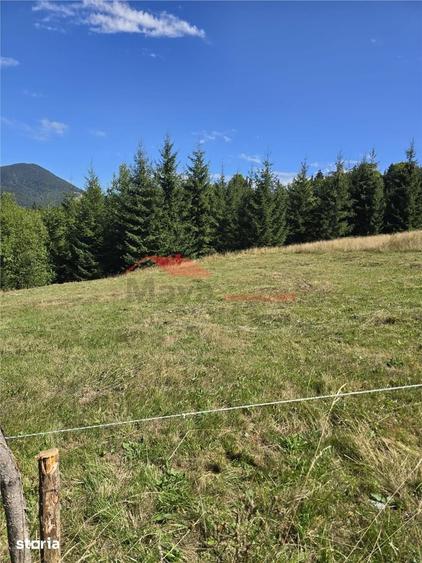 Teren de 4000 mp, în Central