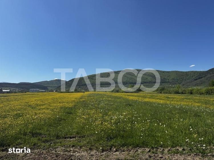 Teren intravilan cu vedere la munti pretabil cabana in Poplaca - 1