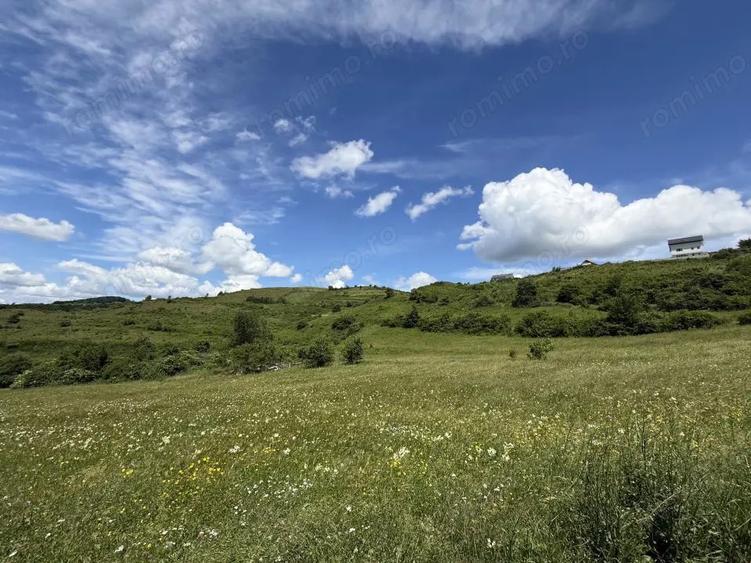 Teren de 1000 mp, în Florești