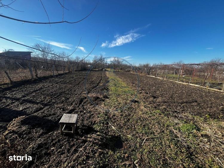 Casă cu 4 camere cu Teren 2700 Mp în Dumitrița