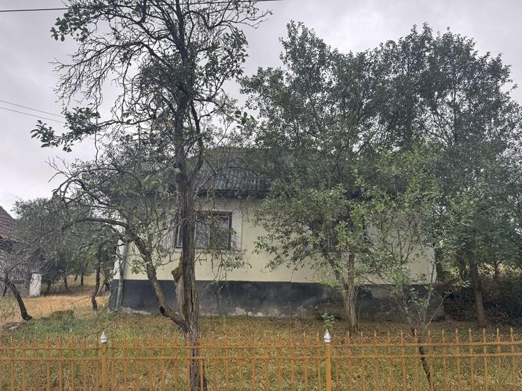 Vand casa si teren la 40 km de Baia Mare - 4