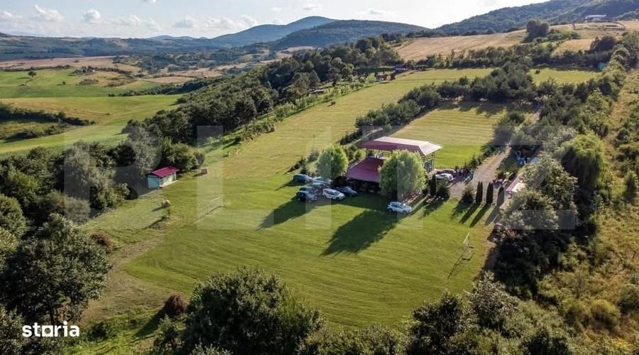 Spațiu comercial, în Treznea