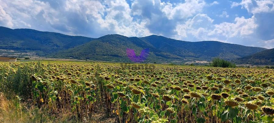 Teren agricol extravilan de 900 mp, în Poplaca