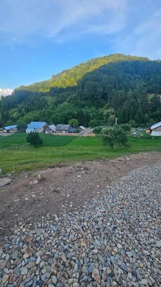 Teren de 10000 mp, în Central