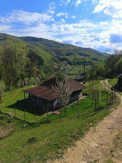 Casă cu 2 camere în Munteni