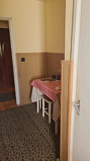 Apartament cu 2 camere decomandat, mobilat în Podgoria
