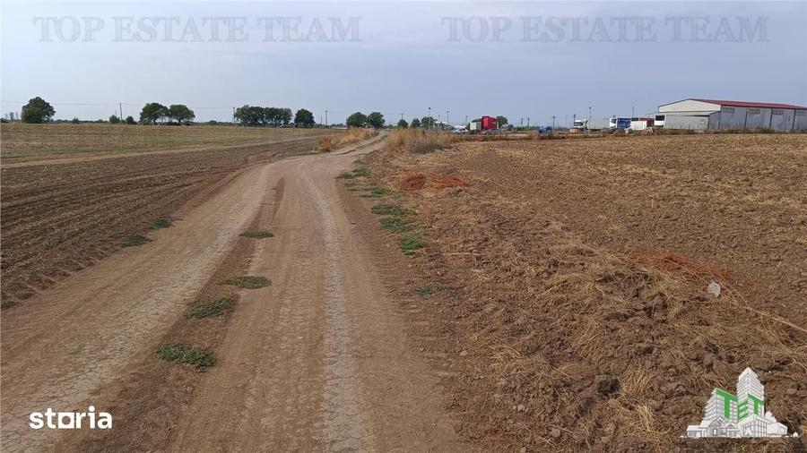 Teren de 81906 mp, în Petrăchioaia