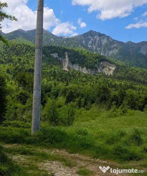 Teren în Nord