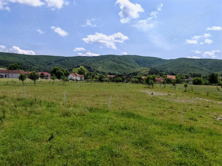 Teren de 7800 mp, în Dobârlău