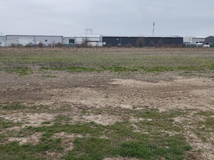 Teren Construcții intravilan de 1500 mp, în Bâcu