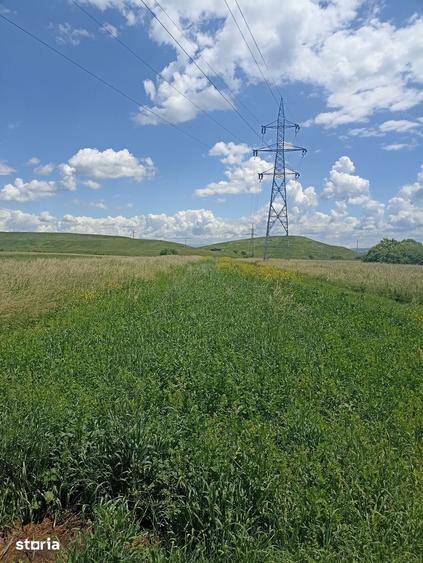 Teren de 2900 mp, în Central