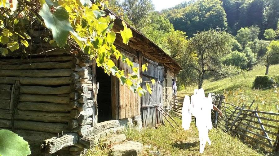Casă individuală cu 2 camere cu Teren 3000 Mp în Chiuiești