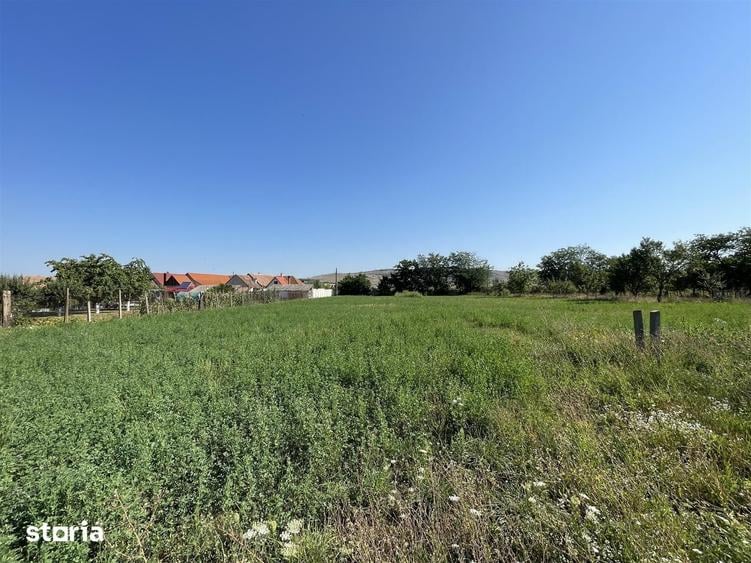 Teren intravilan 2.162 mp cu dubla deschidere | Miercurea Sibiului - 3