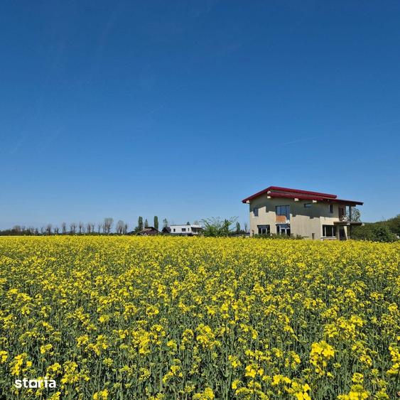 Teren de 5000 mp, în Ciolpani