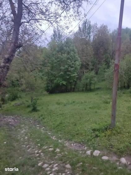 Teren de 1241 mp, în Provița de Sus