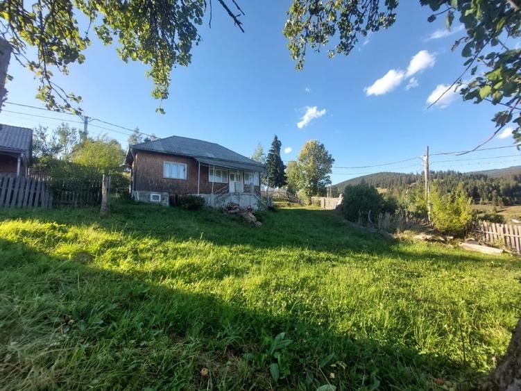 Casă individuală cu 2 camere cu Teren 3585 Mp în Răchitiș