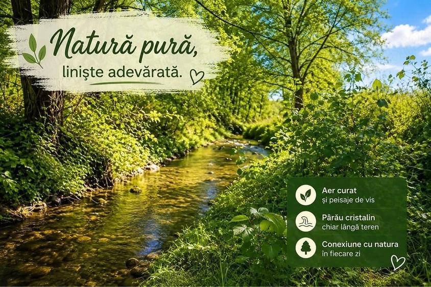 Teren de 4513 mp, în Slătioara