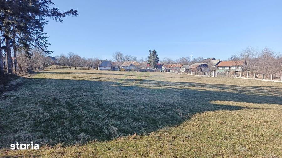Teren de 4700 mp, în Brusturi