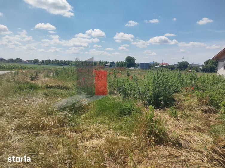 Teren de 727 mp, în Colibași