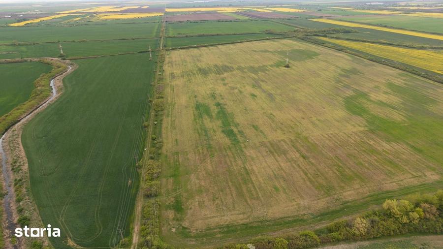 Teren de 44700 mp, în Vest