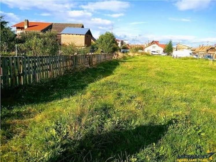 Teren Construcții intravilan de 4000 mp, în Ciomăgești