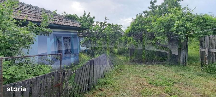 Vanzare Casa | Teren 2500 Mp | Livada Si Vie | Sat Brebina Scrioaste - 5