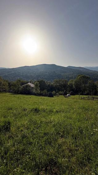 Teren de 1200 mp, în Valea Doftanei