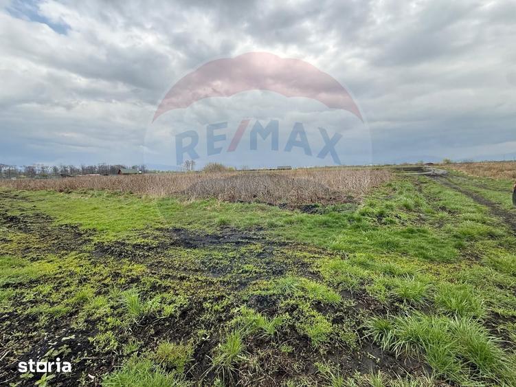 Teren de 45000 mp, în Hărman