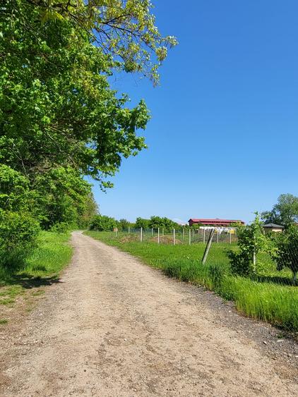 Teren Construcții intravilan de 30688 mp, în Snagov