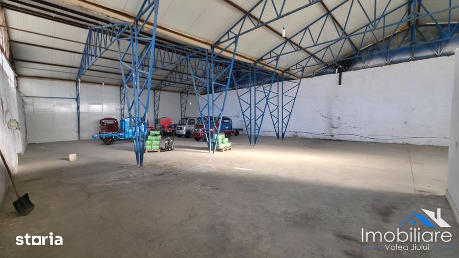 2 Hale de inchiriat, Livezeni, Langa Petro?ani - 6