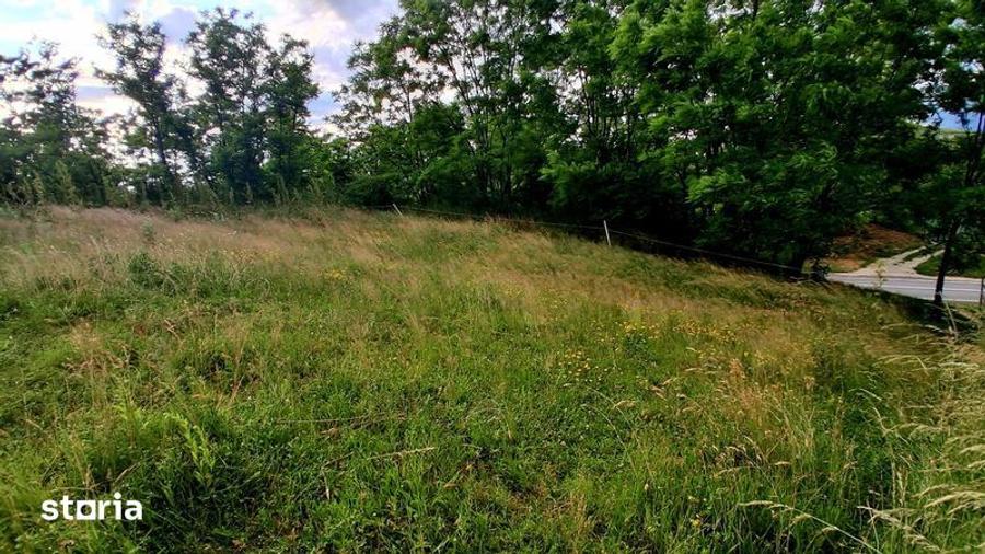 Teren de 1200 mp, în Căianu