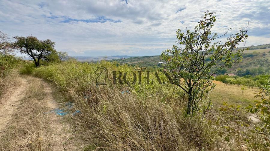 Teren agricol extravilan de 4000 mp, în Cricău
