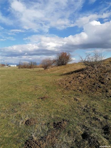 Teren de 3800 mp, în Crizbav