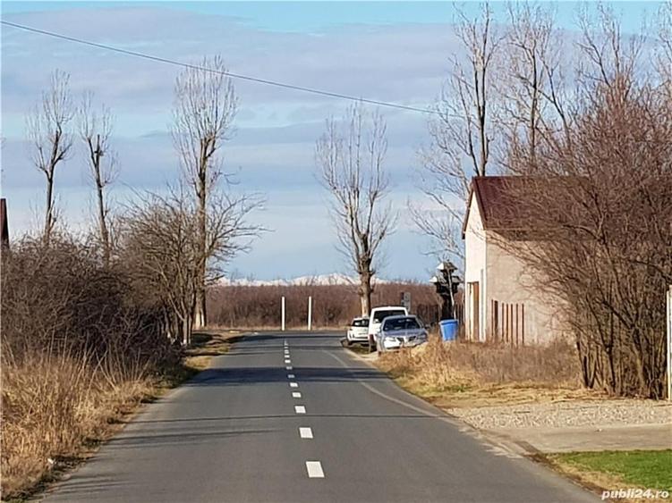 3660 metri teren in Ciolpani, Silistea Snagovului, Ilfov - 7