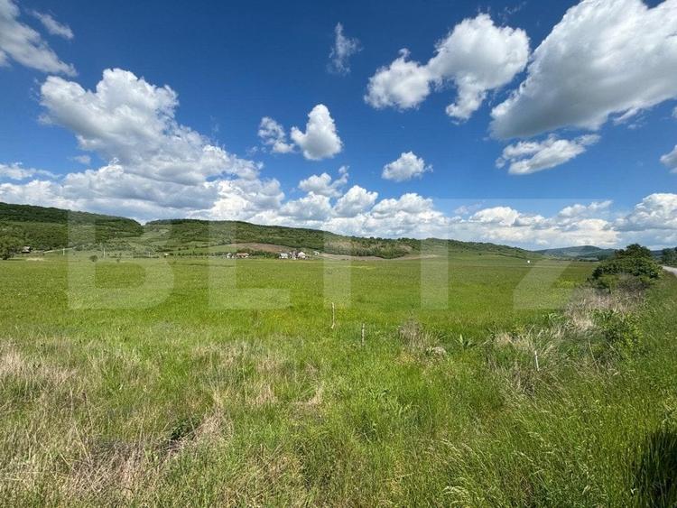 Teren Construcții extravilan de 29000 mp, în Exterior Sud