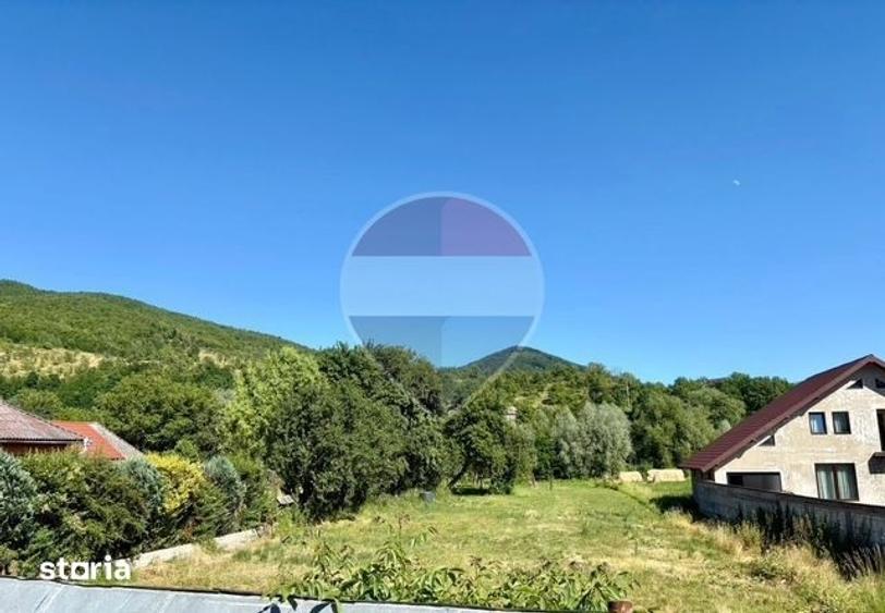 Teren de 3154 mp, în Bârsana