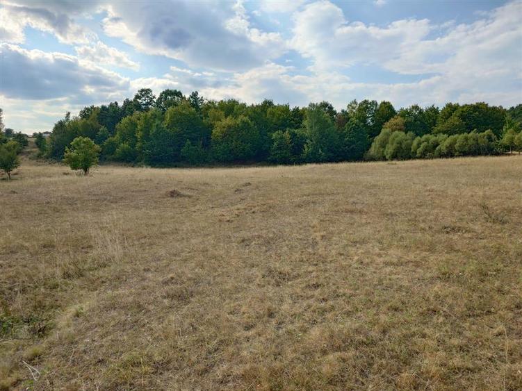 Teren agricol extravilan de 9059 mp, în Exterior Est