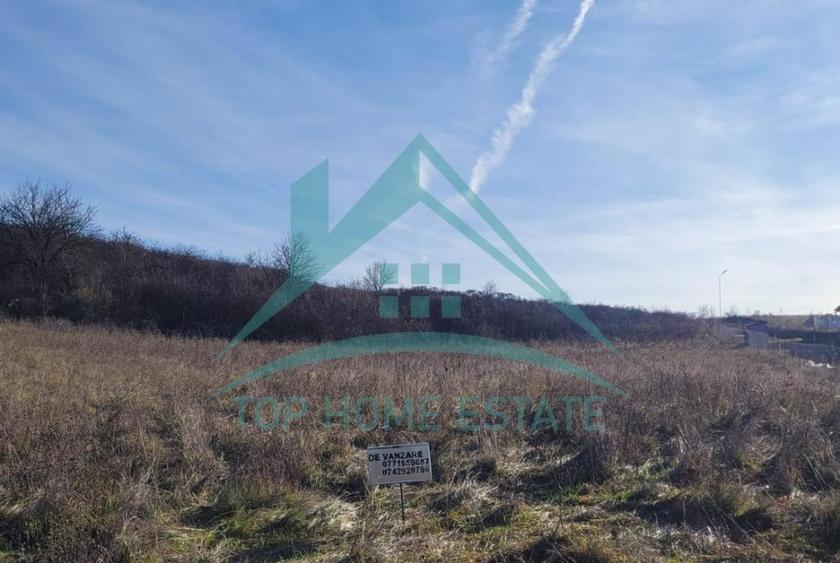Teren Construcții intravilan de 2900 mp, în Chinteni