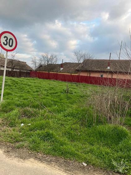 Teren de 513 mp, în Borcea