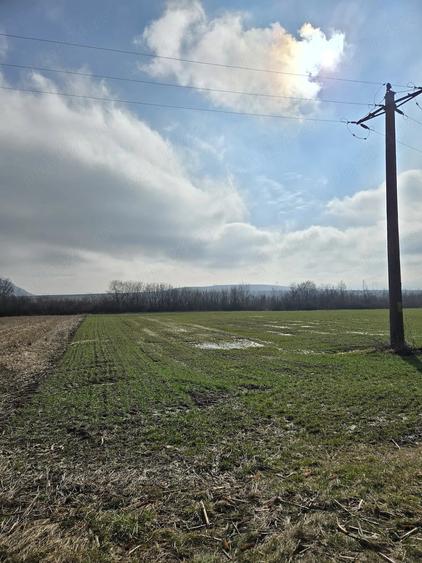 Teren de 3000 mp, în Sântămăria-Orlea